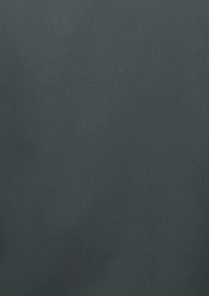 BizCollection S621M Mens Lexington Slim Fit Long Sleeve Shirt - Slate