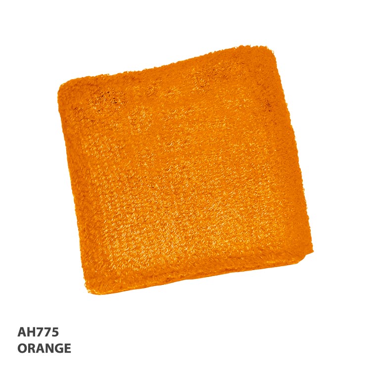Wrist Band 2.75 Inch